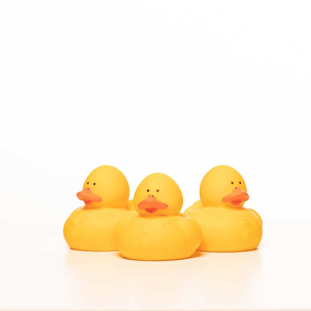 Rubber Duckies Small