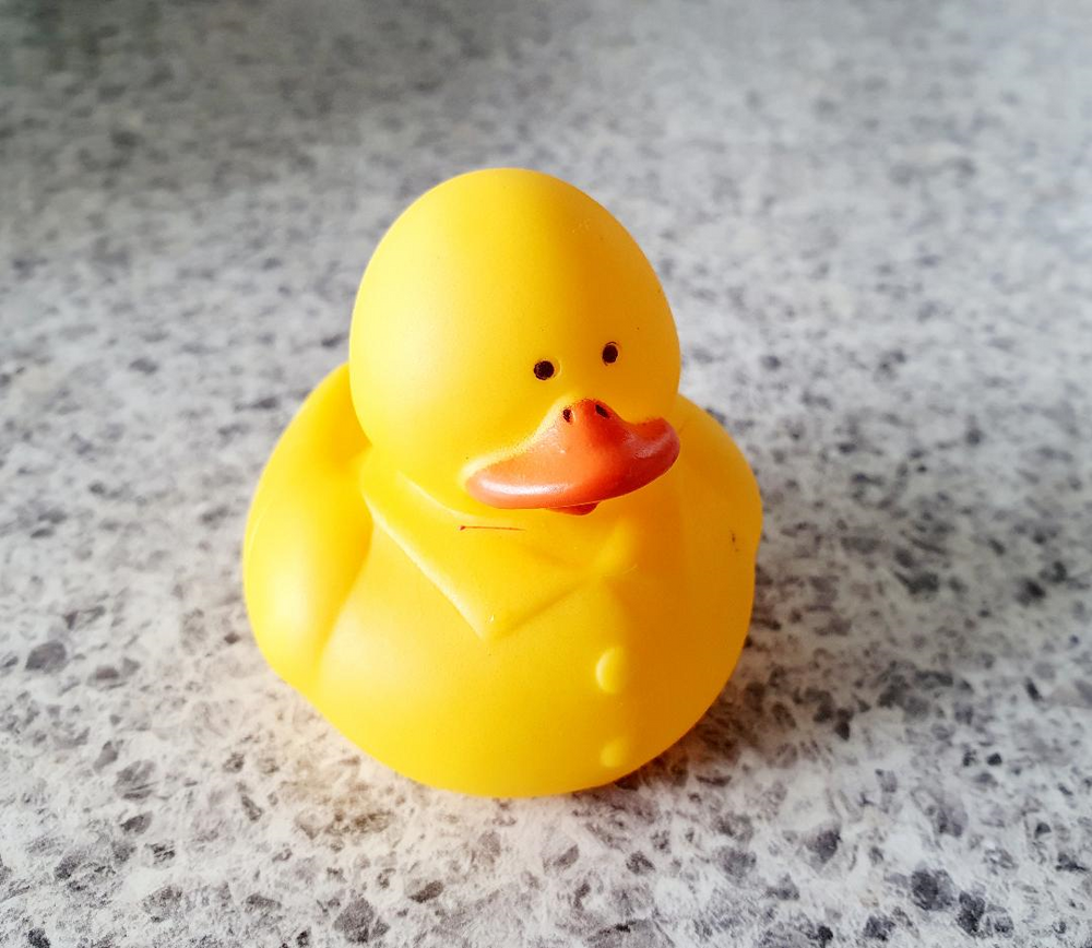 Rubber Duckies Small